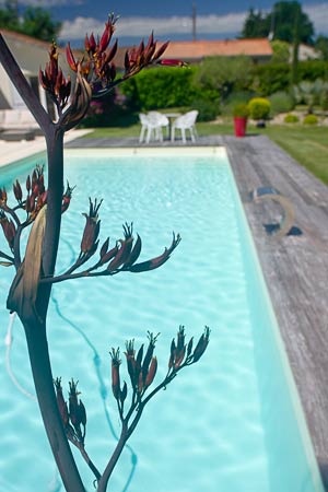 Piscine réalisée près de Langon